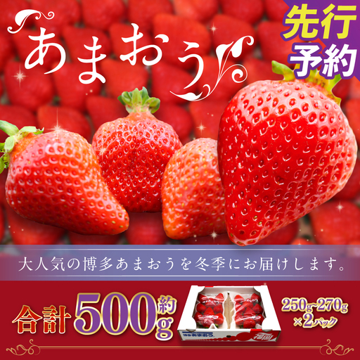 博多あまおう（冬） 約250g～270g×2パック 計約500g～540g【2026年12月上旬-2027年1月下旬発送予定】 いちご 苺 イチゴ 果物 フルーツ