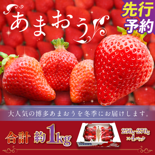 博多あまおう（冬） 約250g～270g×4パック 計約1kg～1.08kg【2026年12月上旬-2027年1月下旬発送予定】 いちご 苺 イチゴ 果物 フルーツ