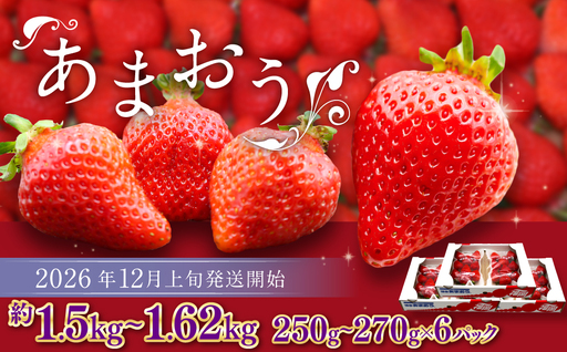 博多あまおう（冬） 約250g～270g×6パック 計約1.5kg～1.62kg【2026年12月上旬-2027年1月下旬発送予定】 いちご 苺 イチゴ 果物 フルーツ
