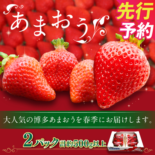 博多あまおう（春） 約250g～270g×2パック 計約500g～540g【2027年2月上旬-4月下旬発送予定】 いちご 苺 イチゴ 果物 フルーツ