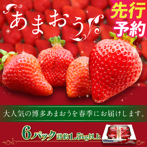 博多あまおう（春） 約250g～270g×6パック 計約1.5kg～1.62kg【2027年2月上旬-4月下旬発送予定】いちご 苺 イチゴ 果物 フルーツ