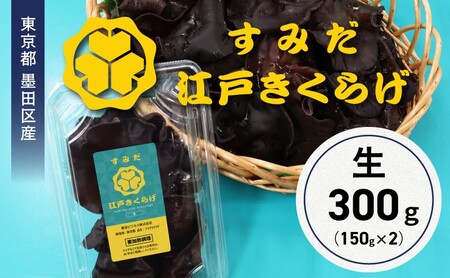 キクラゲ 生キクラゲ 純国産 肉厚 東京都産 キクラゲ【300g(150g×2パック)】