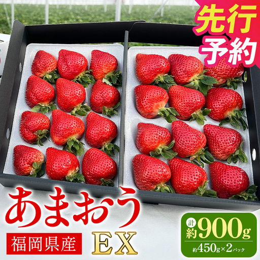 【ギフト用／特別栽培】 福岡県産 あまおう EX 約450g×2パック 【2027年1月上旬～3月下旬発送予定】 いちご イチゴ 苺 フルーツ 果物 くだもの ギフト 贈答用 贈り物 福岡県 遠賀町