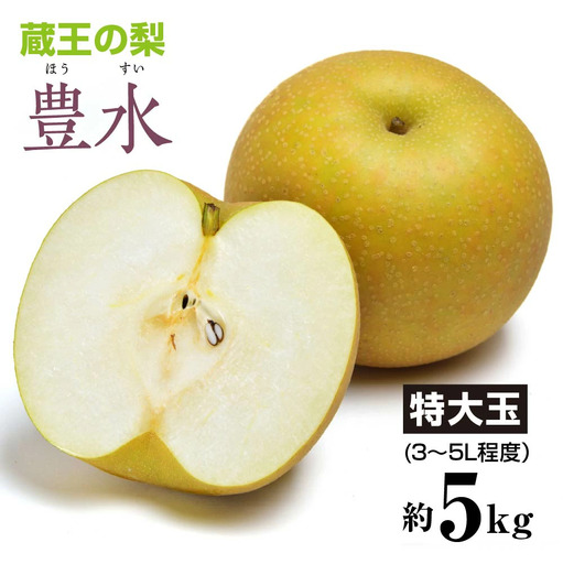 【先行予約】蔵王の梨 豊水約5kg 特大玉(3～5L程度）　【04301-0142】