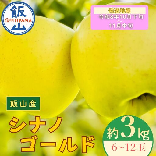 りんご シナノゴールド 約3kg（6～12玉）2026年10月下旬より発送先行予約 | リンゴ At-014