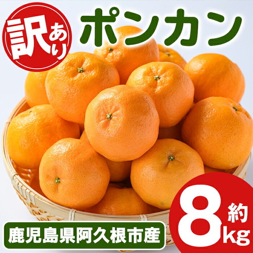 [先行予約受付中!2026年12月下旬以降順次発送予定] 訳あり!ポンカン(約8kg) 国産 ポンカン 柑橘 果物 フルーツ デザート 果実 期間限定 数量限定[古田果樹園]akn093-05