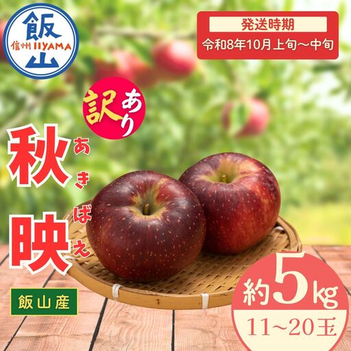 【訳あり】りんご 秋映 約5kg（11～20玉）2026年10月上旬より発送 先行予約 | リンゴ At-018
