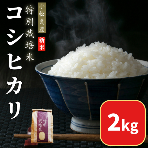 【2026年9月順次発送】令和8年産 新米 白米 2kg 特別栽培米 コシヒカリ