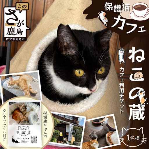 保護猫カフェねこの蔵 カフェ利用チケット+クリアファイル付き|保護猫カフェ 猫 古民家カフェ チケット 保護猫 支援 鹿島市 猫カフェ カフェ