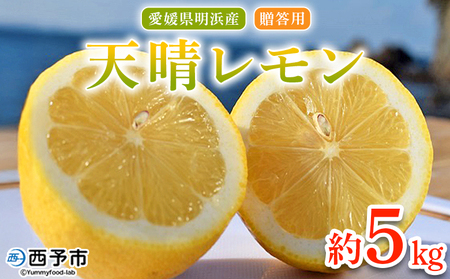 【先行予約】＜天晴レモン 贈答用 約5kg＞ フルーツ 果物 くだもの レモン れもん 檸檬 柑橘 プレゼント 贈り物 お返し お礼 ギフト アレンジ 料理 国産 国産レモン 愛媛県産 特産品 株式会社笑丸 愛媛県 西予市【常温】『2026年9月から順次出荷予定』AAN0048