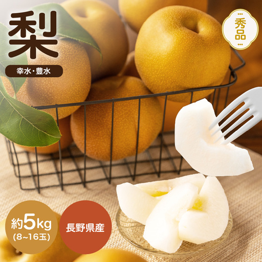 南信州産 幸水 または 豊水 秀品 約5kg 8〜16玉 [2026年9月上旬〜順次発送] JAみなみ信州DMセンター飯田市