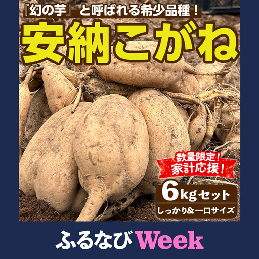 【ふるなびWEEK対象】期間限定 安納芋 6kg 黄金 種子島 さつま芋 セット 【なかたね農産】n331-z-H
