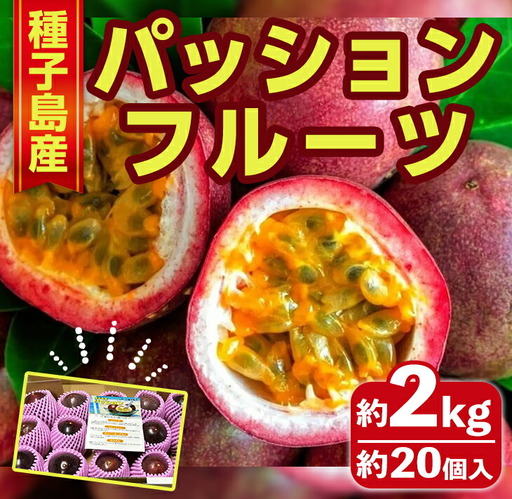 南国・種子島産！パッションフルーツ(2kg前後・約20個入) 国産 鹿児島 果物 【なかたね農産】n358