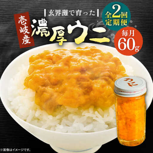 【全2回定期便】壱岐産 濃厚 ウニ60g《壱岐市》【合同会社塚元】ムラサキウニ [JDR029]