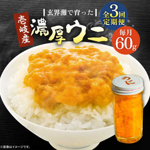 【全3回定期便】壱岐産 濃厚 ウニ60g《壱岐市》【合同会社塚元】ムラサキウニ [JDR030]