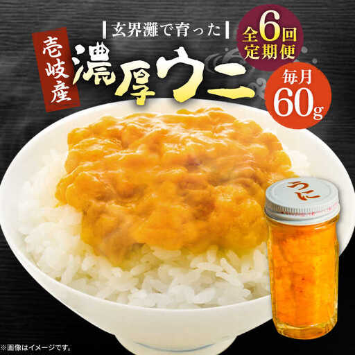 【全6回定期便】壱岐産 濃厚 ウニ60g《壱岐市》【合同会社塚元】ムラサキウニ [JDR031]