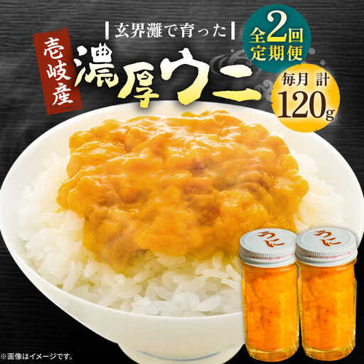 【全2回定期便】壱岐産 濃厚 ウニ 60g ×2本《壱岐市》【合同会社塚元】ムラサキウニ [JDR033]