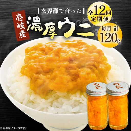 【全12回定期便】壱岐産 濃厚 ウニ 60g ×2本《壱岐市》【合同会社塚元】ムラサキウニ [JDR036]
