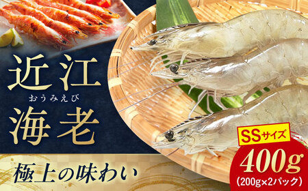 近江海老 400g(SSサイズ)[AQBA004]えび 近江海老 エビ
