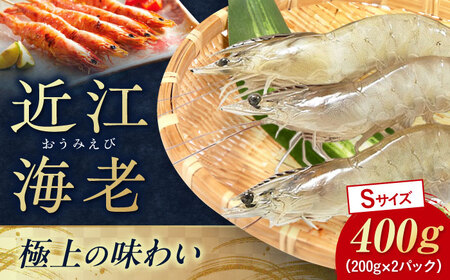 近江海老 400g(Sサイズ)[AQBA008]えび 近江海老 エビ