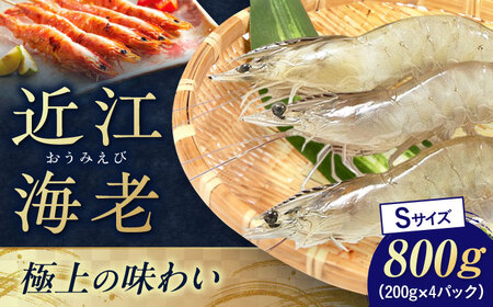 近江海老 800g(Sサイズ)[AQBA010]えび 近江海老 エビ