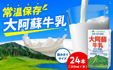 大阿蘇牛乳 ロングライフ 250ml 24本(12本入り×2ケース) 6L 牛乳[AYAC047]