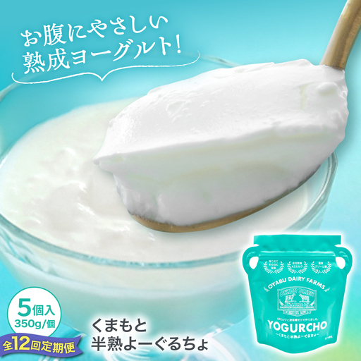 【全12回定期便】オオヤブデイリーファーム くまもと半熟よーぐるちょ 350g×5個ヨーグルト[AYAE024]