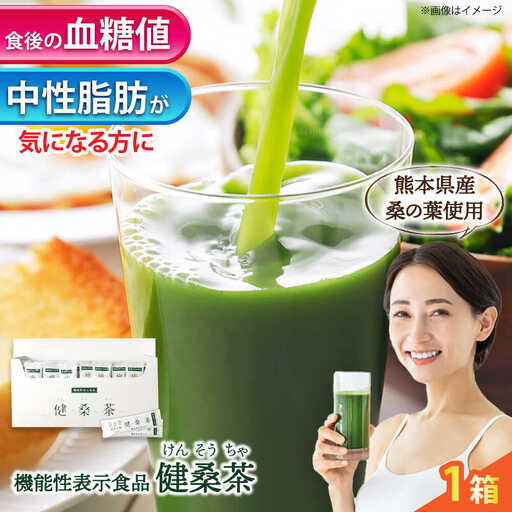 機能性表示食品 健桑茶 1箱 お茶[AYBM004]