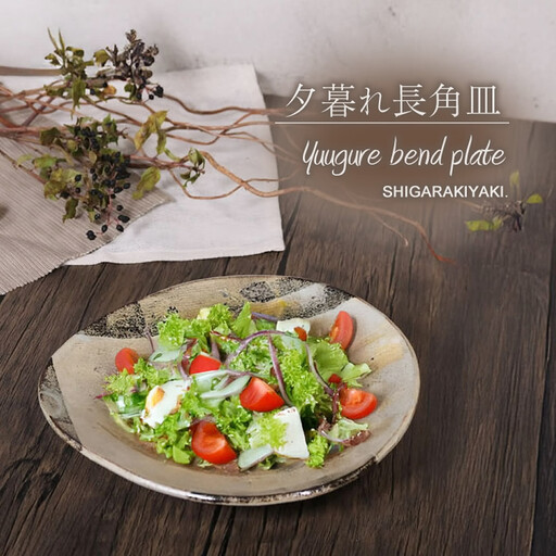 信楽焼 山逢いシリーズ たわみパスタ皿（大） 陶器 【夕暮れ】