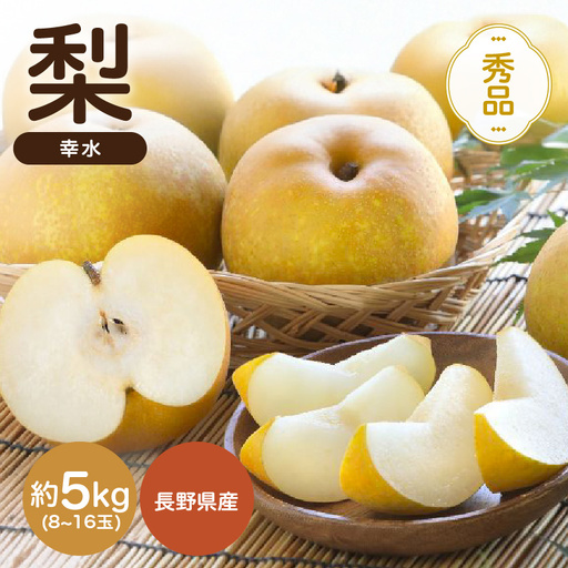 南信州産 幸水 約5kg 秀品 [2026年8月下旬〜順次発送] JAみなみ信州DMセンター飯田市