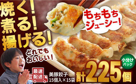 美豚餃子15個入×15袋 五島市/長崎フードサービス[PEL055]