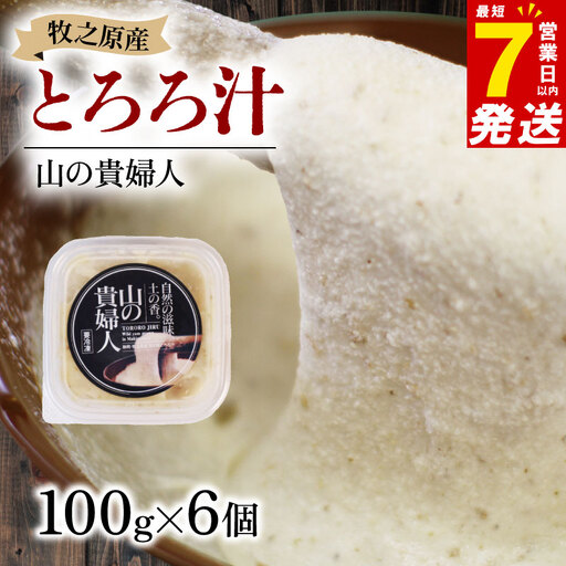【7日以内発送】【ZIP!で紹介されました!】 とろろ 山の貴婦人 100g × 6個  尾白弁当 とろろ 