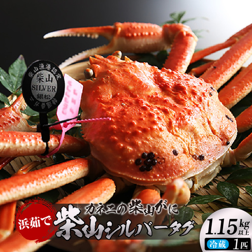 【先行予約】カネニ 浜茹で 柴山がに 柴山シルバータグ付き ボイル後1.15kg以上 冷蔵【令和8年11月中旬以降発送予定】 高級 かに カニ  06-23