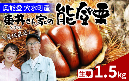 [先行予約]東井栗園 の 能登栗 1.5kg