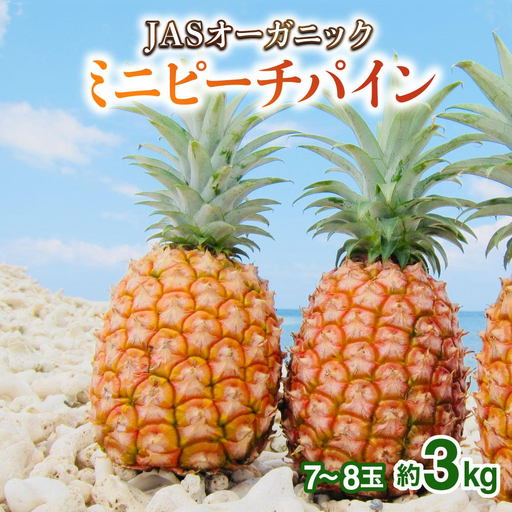 2027年 先行予約 パイナップル【JASオーガニック】ミニピーチ 3kg (7～8玉) 果物 フルーツ