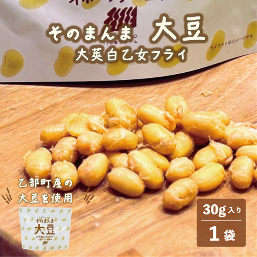 罪悪感ゼロ！ 大豆そのままヘルシーおやつ【大莢白乙女フライ ：1個】＜ 北海道 北海道産 大莢白乙女 大豆  フライ そのまんま そのまんまシリーズ 北海道150 豆菓子 ビール つまみ お土産 粗品 景品 プレゼント 父の日 ＞