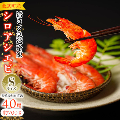 エビ【養殖場から直送】活き〆急速冷凍 金武町産 シロアシエビ　Sサイズ （バナメイエビ） 海老