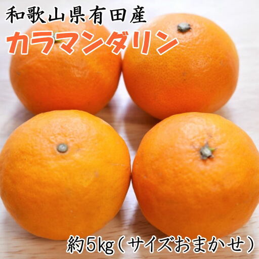 【春みかん】和歌山有田産カラマンダリン約5kg(サイズおまかせ)※2027年4月上旬～2027年5月中旬頃に順次発送【tecj1022】