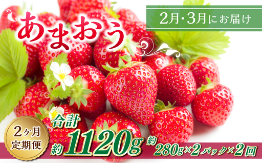 [2ヶ月定期便]エコファーマー あまおう (約280g×2パック)×2回 計約1120g[数量限定][2027年2月上旬から3月下旬順次発送] いちご 苺 イチゴ ベリー 果物 フルーツ お取り寄せ デザート おやつ