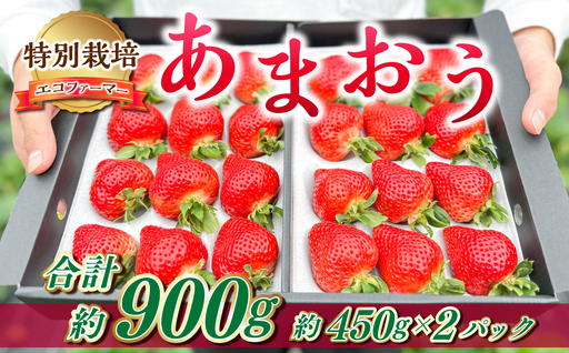 ギフト配送 約450g×2パック 計900g EX 福岡県産 あまおう 特別栽培【2027年1月上旬から3月下旬発送予定】 いちご 苺 イチゴ ベリー 果物 フルーツ お取り寄せ デザート おやつ
