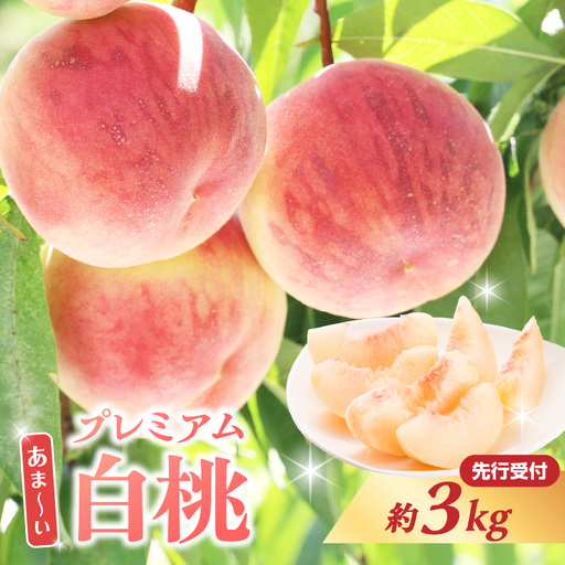 ≪先行受付≫ 甘～い プレミアム白桃 約3kg【2026年8月中旬頃～発送予定】 060-014