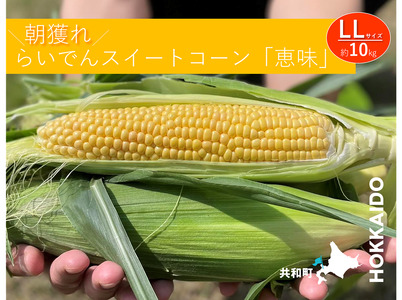 [先行予約]とうもろこし らいでん スイートコーン 恵味 LL 規格 約10kg 北海道 共和町 産地直送 JAきょうわ コーン めぐみ 黄色 とうきび トウモロコシ 野菜 旬の野菜 新鮮野菜(2026年7月下旬〜8月上旬発送)