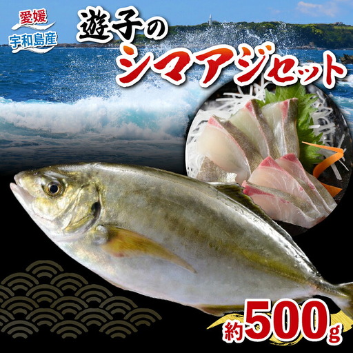 シマアジ セット 遊子産 計 500g 愛媛県漁業協同組合遊子支所 遊子 スキンレスロイン 250g 皮無し ロイン 250g 皮付き 片身分 魚介 刺身 お刺身 刺し身 お刺し身 皮なし 皮つき 加工 海の幸 海鮮 海鮮丼 漬け丼 しゃぶしゃぶ たたき 冷凍 アレンジ 国産 愛媛 宇和島 D012-022006