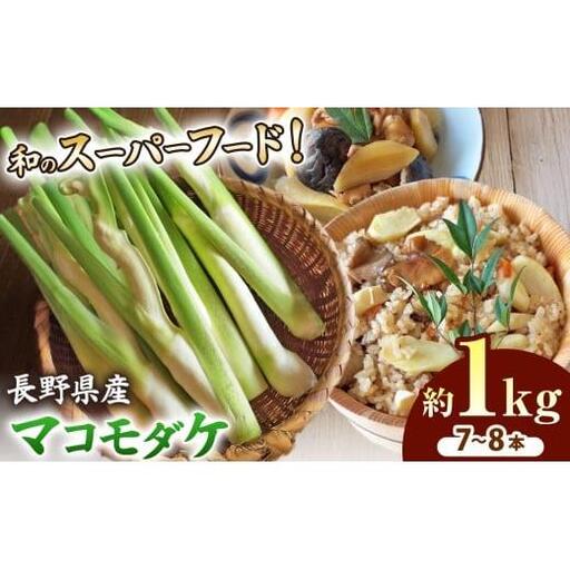 完全自然栽培マコモダケ 約1kg 【2026年9月中旬～発送予定】|マコモダケ まこもだけ マコモ たけのこ トウモロコシ 長野県 塩尻市