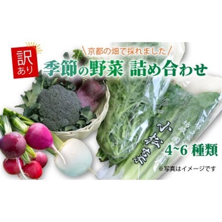 【訳あり】季節の野菜セット4～6品　京都府久御山町産【配送不可地域：離島】【1615125】