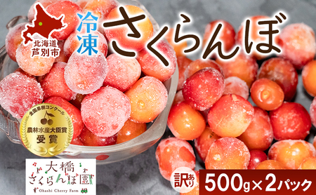 [訳アリ] 500g 2パック [訳アリ] 冷凍 × 果物