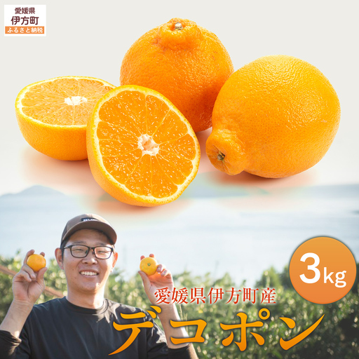 【先行予約】デコポン3kg ※離島への配送不可 （2027年2月10日より順次発送予定） IKTAG005