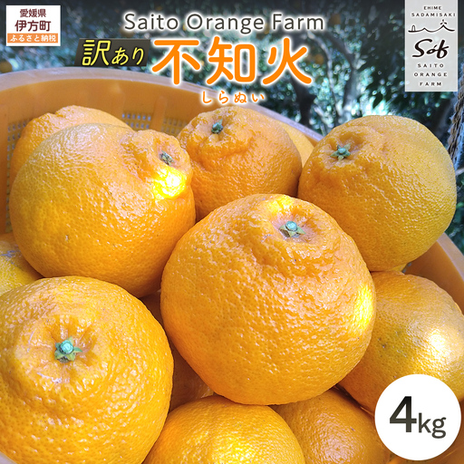 【先行予約】Saito Orange Farmの訳あり不知火4kg（2027年3月上旬頃より順次発送予定） IKTAQ011