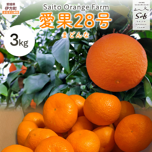 【先行予約】【数量限定】Saito Orange Farmの愛果28号（まどんな）3kg（2027年1月下旬頃より順次発送予定） IKTAQ017