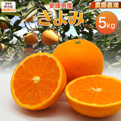 【栽培期間中農薬不使用】【先行受付】【数量限定】農園直送！愛媛県産 きよみ 5kg （2027年3月上旬頃より順次発送） IKTG021